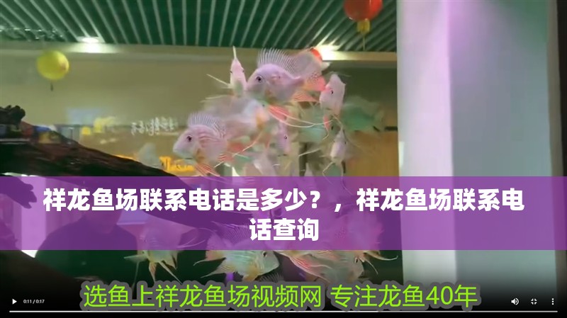 祥龍魚場聯系電話是多少？，祥龍魚場聯系電話查詢