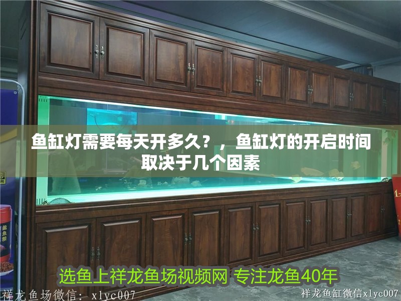 魚缸燈需要每天開多久？，魚缸燈的開啟時間取決于幾個因素