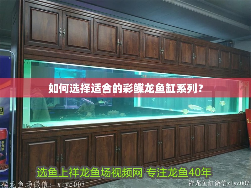 如何選擇適合的彩鰈龍魚缸系列？