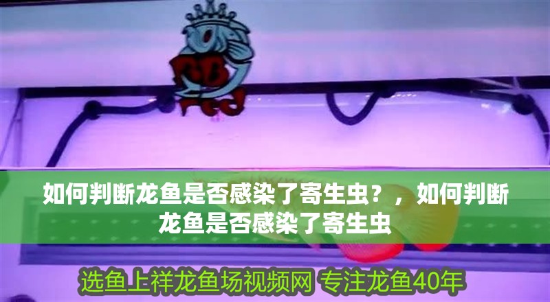 如何判斷龍魚是否感染了寄生蟲？，如何判斷龍魚是否感染了寄生蟲