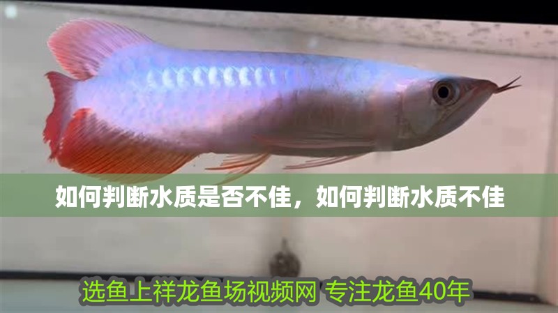 如何判斷水質是否不佳，如何判斷水質不佳