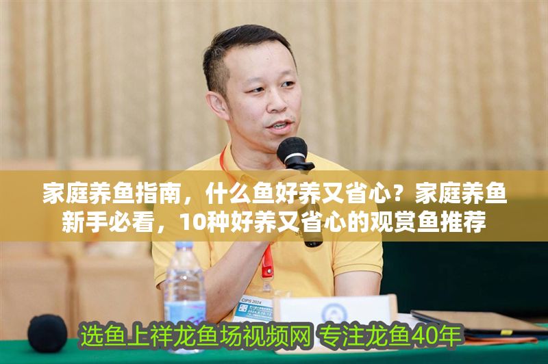 家庭養(yǎng)魚(yú)指南,什么魚(yú)好養(yǎng)又省心?家庭養(yǎng)魚(yú)新手必看,10種好養(yǎng)又省心的觀賞魚(yú)推薦 龍魚(yú)百科 第1張 家庭養(yǎng)魚(yú)指南,什么魚(yú)好養(yǎng)又省心?家庭養(yǎng)魚(yú)新手必看,10種好養(yǎng)又省心的觀賞魚(yú)推薦 家庭養(yǎng)魚(yú)指南,什么魚(yú)好養(yǎng)又省心?家庭養(yǎng)魚(yú)新手必看,10種好養(yǎng)又省心的觀賞魚(yú)推薦 龍魚(yú)百科 第1張