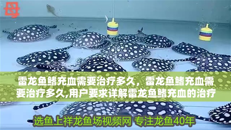 雷龍魚鰭充血需要治療多久，雷龍魚鰭充血需要治療多久,用戶要求詳解雷龍魚鰭充血的治療時長