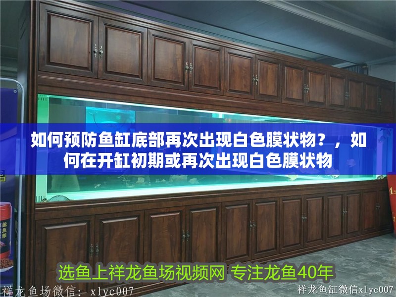 如何預防魚缸底部再次出現白色膜狀物？，如何在開缸初期或再次出現白色膜狀物