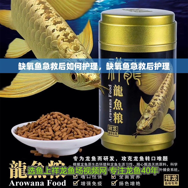 缺氧魚急救后如何護理，缺氧魚急救后護理