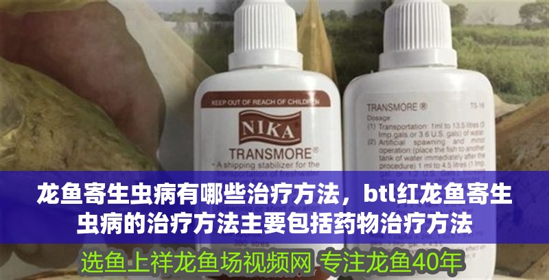 龍魚寄生蟲病有哪些治療方法，btl紅龍魚寄生蟲病的治療方法主要包括藥物治療方法
