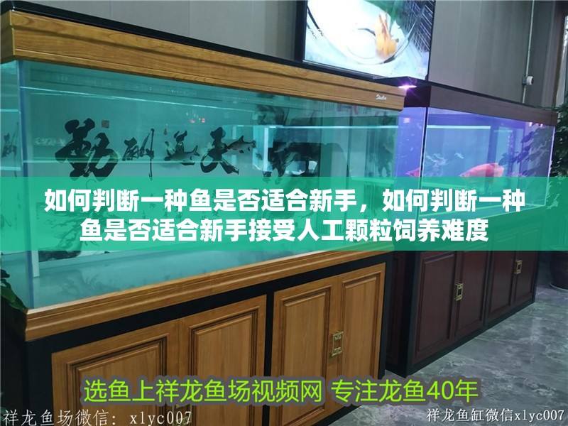 如何判斷一種魚是否適合新手，如何判斷一種魚是否適合新手接受人工顆粒飼養(yǎng)難度