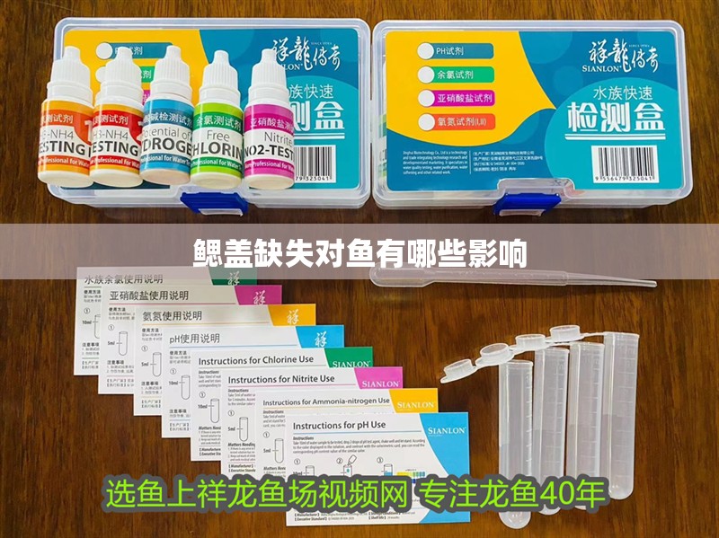 鰓蓋缺失對魚有哪些影響
