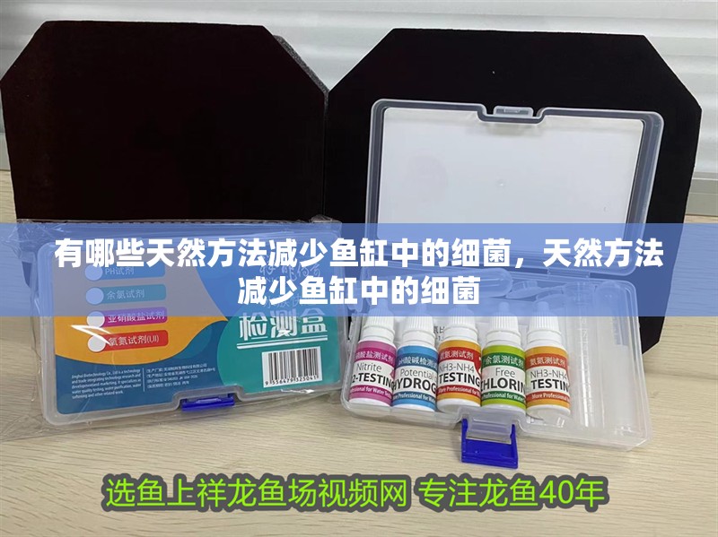 有哪些天然方法減少魚缸中的細菌，天然方法減少魚缸中的細菌