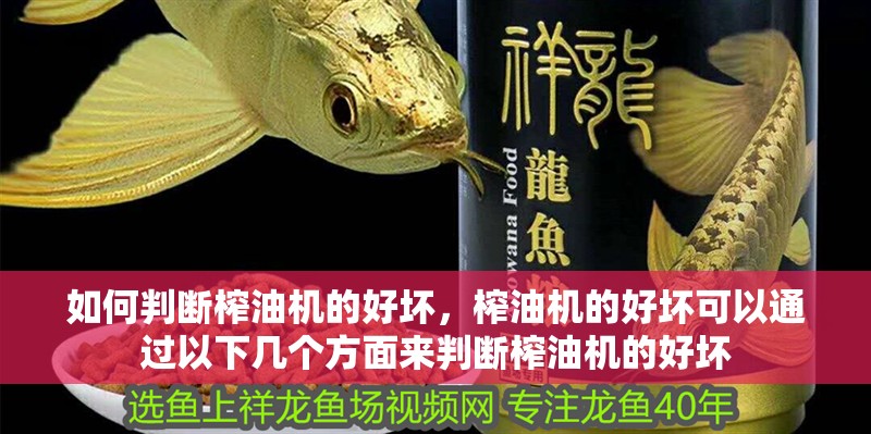 如何判斷榨油機(jī)的好壞，榨油機(jī)的好壞可以通過以下幾個(gè)方面來判斷榨油機(jī)的好壞