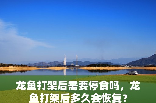 龍魚打架后需要停食嗎，龍魚打架后多久會恢復？