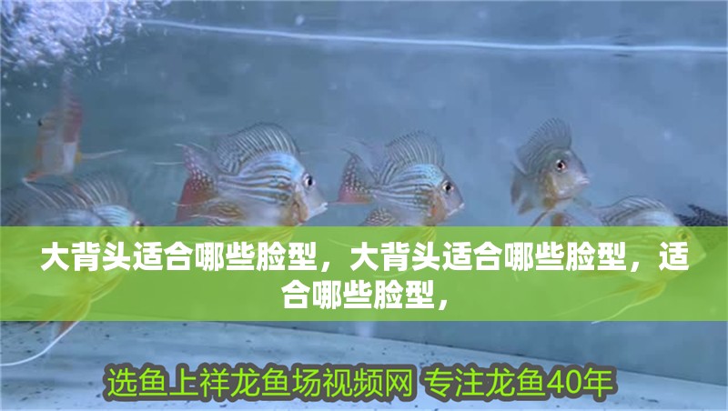 大背頭適合哪些臉型，大背頭適合哪些臉型，適合哪些臉型，