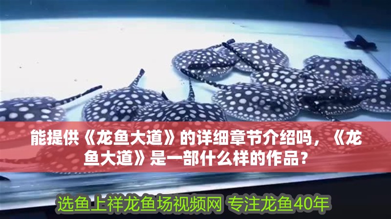 能提供《龍魚大道》的詳細章節(jié)介紹嗎，《龍魚大道》是一部什么樣的作品？