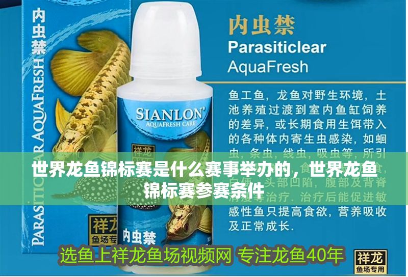 世界龍魚錦標(biāo)賽是什么賽事舉辦的，世界龍魚錦標(biāo)賽參賽條件