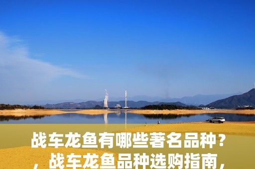 戰車龍魚有哪些著名品種？，戰車龍魚品種選購指南，幫你快速識別高性價比的優質個體
