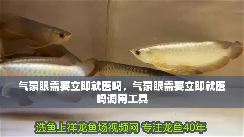 氣蒙眼需要立即就醫嗎，氣蒙眼需要立即就醫嗎調用工具