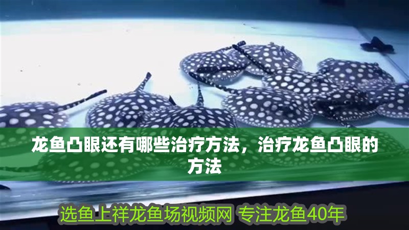 龍魚凸眼還有哪些治療方法，治療龍魚凸眼的方法