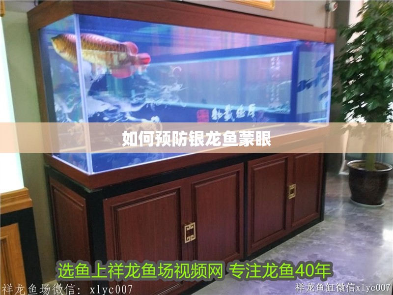 如何預防銀龍魚蒙眼