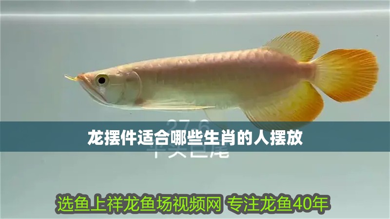 龍擺件適合哪些生肖的人擺放