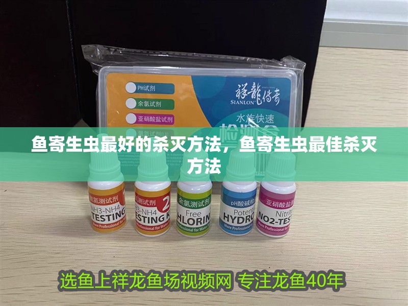 魚(yú)寄生蟲(chóng)最好的殺滅方法，魚(yú)寄生蟲(chóng)最佳殺滅方法
