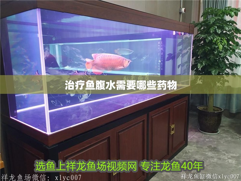 治療魚腹水需要哪些藥物