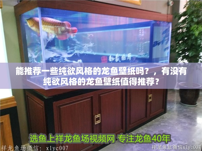 能推薦一些純欲風(fēng)格的龍魚壁紙嗎？，有沒有純欲風(fēng)格的龍魚壁紙值得推薦？