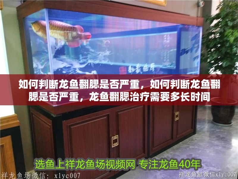 如何判斷龍魚翻腮是否嚴(yán)重，如何判斷龍魚翻腮是否嚴(yán)重，龍魚翻腮治療需要多長時(shí)間