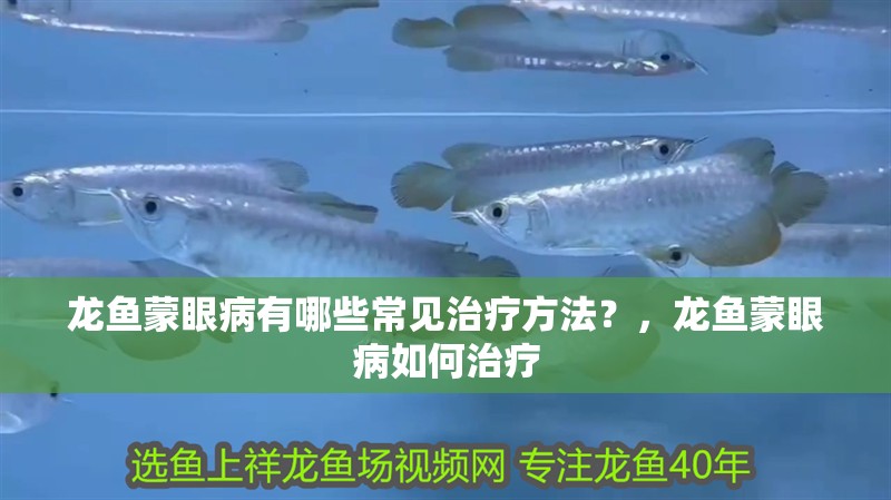 龍魚蒙眼病有哪些常見治療方法？，龍魚蒙眼病如何治療