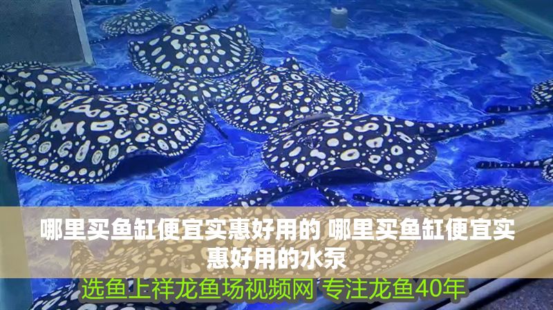 哪里買魚缸便宜實(shí)惠好用的 哪里買魚缸便宜實(shí)惠好用的水泵