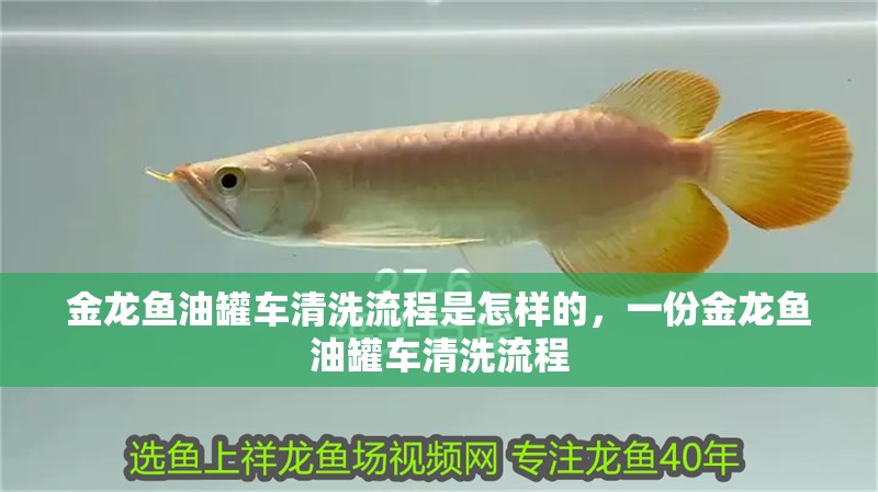 金龍魚油罐車清洗流程是怎樣的，一份金龍魚油罐車清洗流程