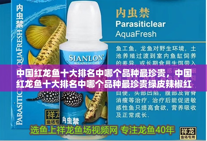 中國紅龍魚十大排名中哪個品種最珍貴，中國紅龍魚十大排名中哪個品種最珍貴綠皮辣椒紅龍最貴