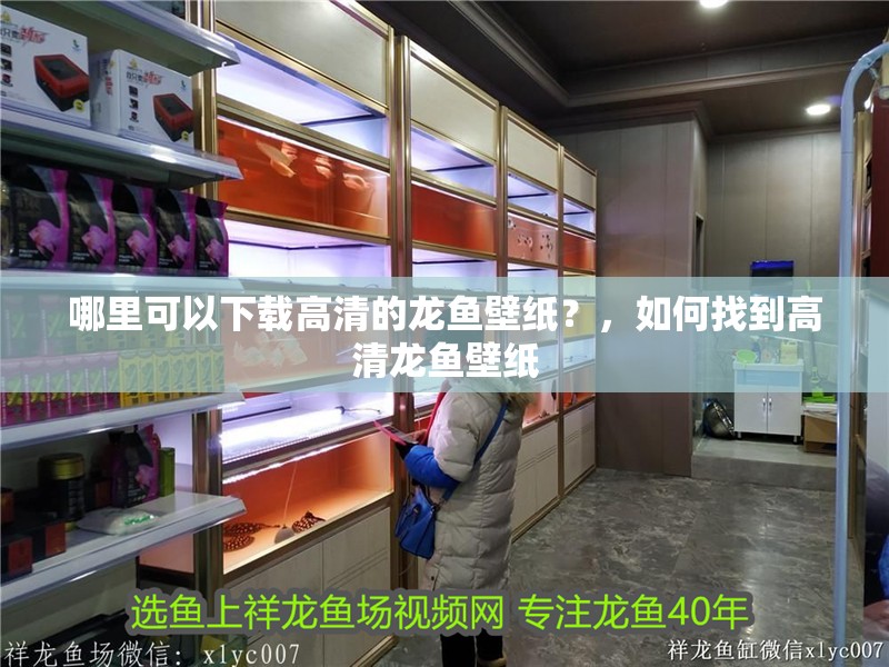 哪里可以下載高清的龍魚壁紙？，如何找到高清龍魚壁紙