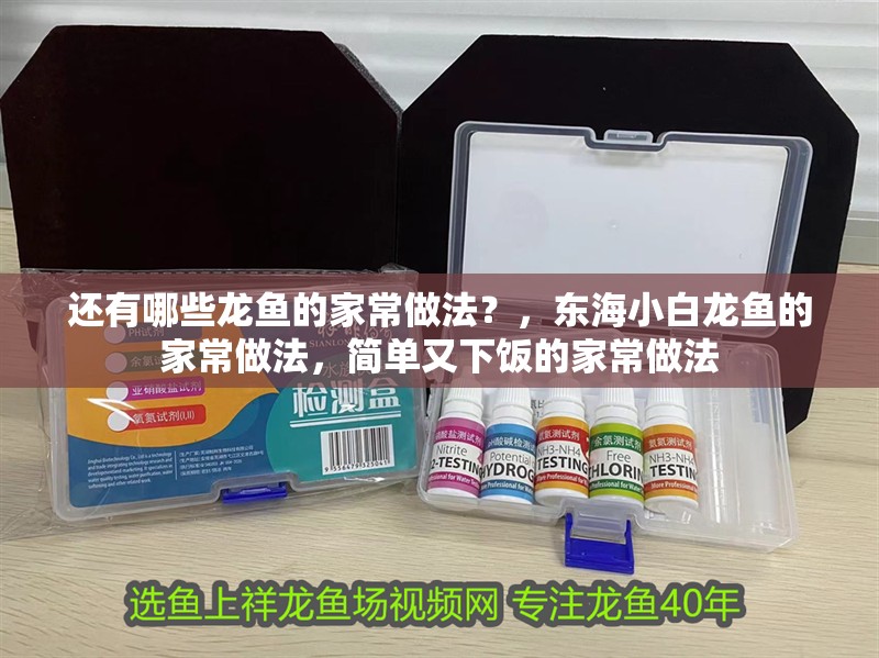 還有哪些龍魚的家常做法？，東海小白龍魚的家常做法，簡單又下飯的家常做法
