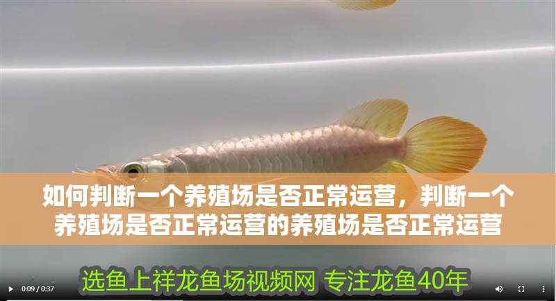 如何判斷一個養殖場是否正常運營，判斷一個養殖場是否正常運營的養殖場是否正常運營