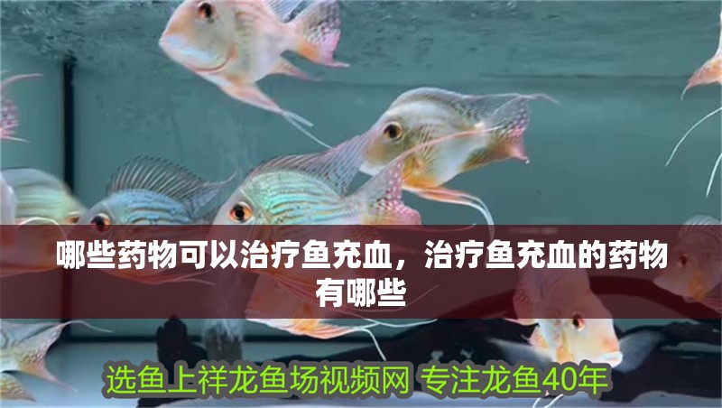 哪些藥物可以治療魚充血，治療魚充血的藥物有哪些