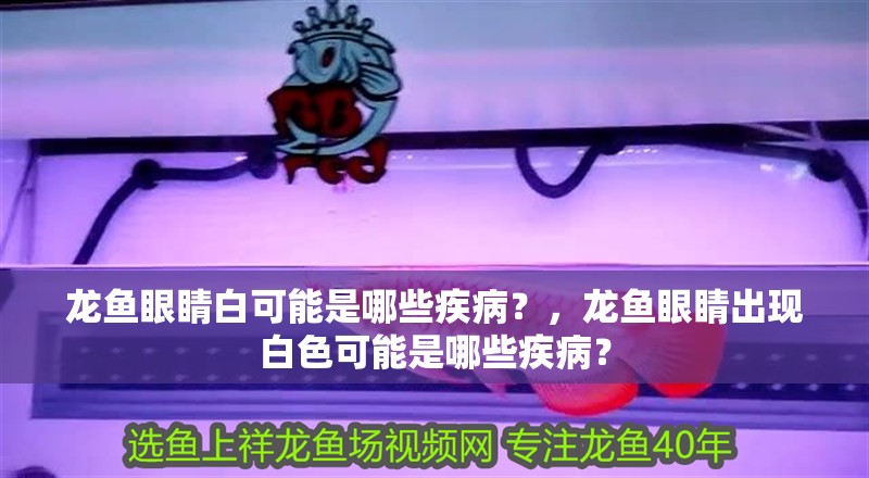 龍魚眼睛白可能是哪些疾病？，龍魚眼睛出現白色可能是哪些疾病？