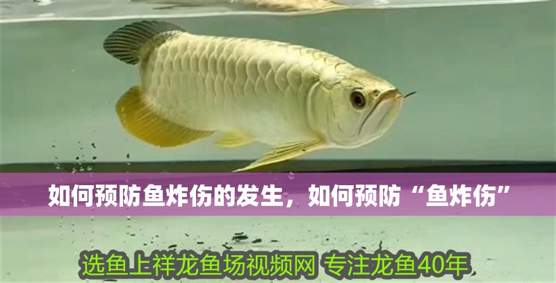 如何預防魚炸傷的發生，如何預防“魚炸傷”