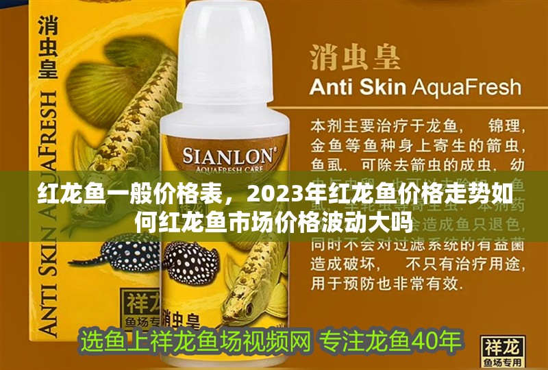 紅龍魚一般價格表，2023年紅龍魚價格走勢如何紅龍魚市場價格波動大嗎