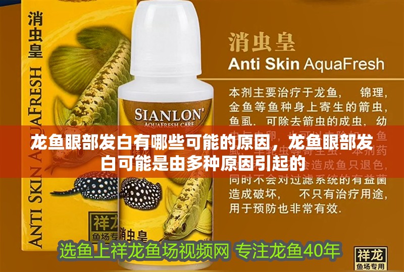 龍魚眼部發白有哪些可能的原因，龍魚眼部發白可能是由多種原因引起的