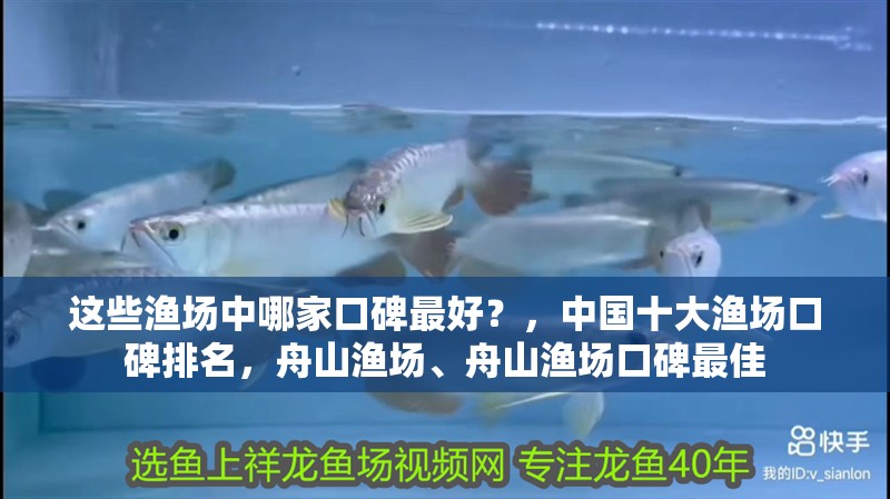 這些漁場中哪家口碑最好？，中國十大漁場口碑排名，舟山漁場、舟山漁場口碑最佳