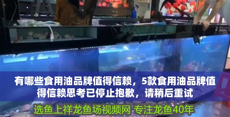 有哪些食用油品牌值得信賴，5款食用油品牌值得信賴思考已停止抱歉，請稍后重試