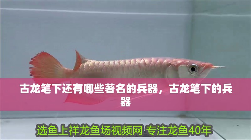 古龍筆下還有哪些著名的兵器，古龍筆下的兵器