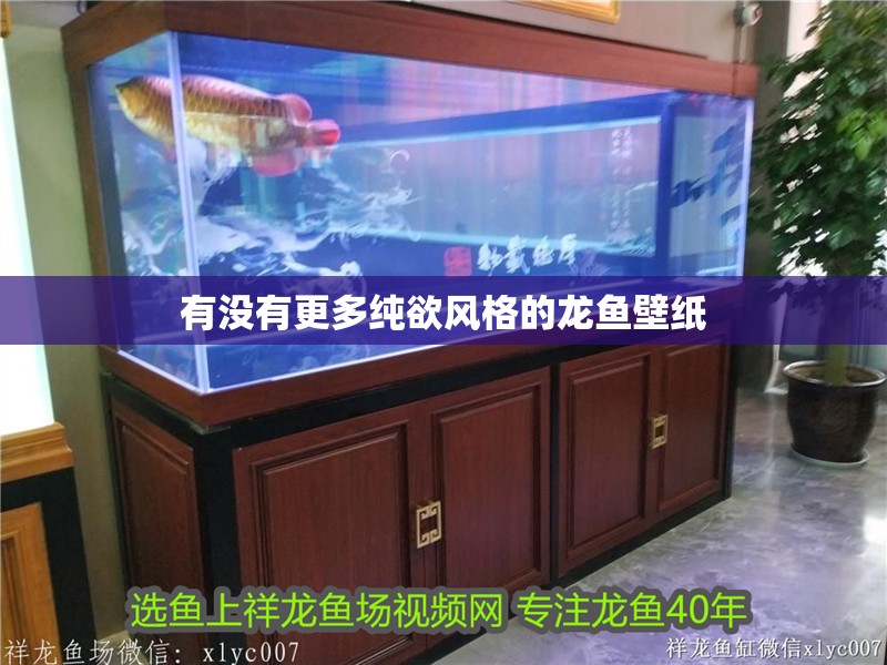 有沒有更多純欲風格的龍魚壁紙