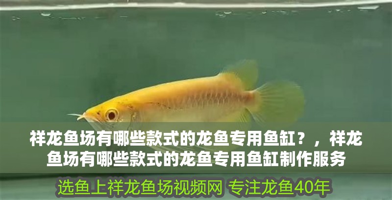 祥龍魚場有哪些款式的龍魚專用魚缸？，祥龍魚場有哪些款式的龍魚專用魚缸制作服務(wù)
