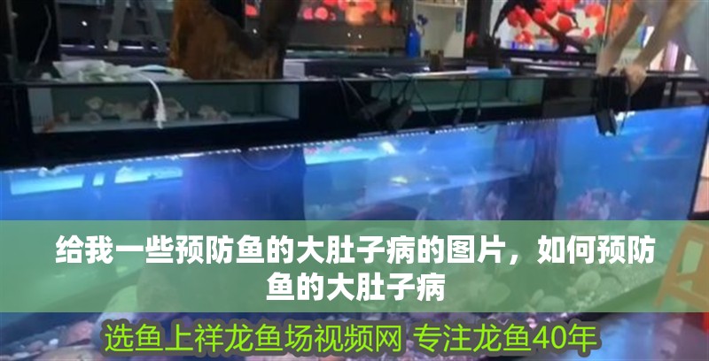 給我一些預(yù)防魚的大肚子病的圖片，如何預(yù)防魚的大肚子病