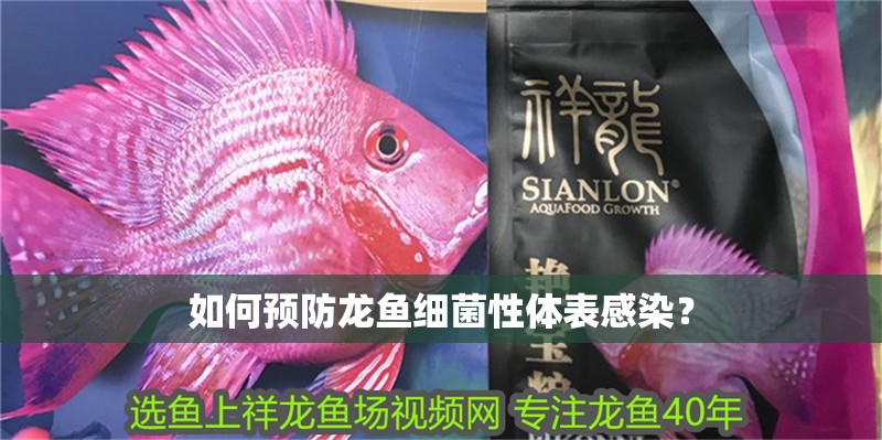 如何預(yù)防龍魚細菌性體表感染？