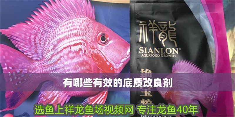 有哪些有效的底質(zhì)改良劑