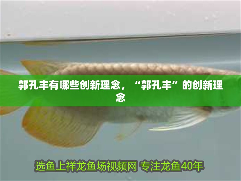 郭孔豐有哪些創新理念，“郭孔豐”的創新理念