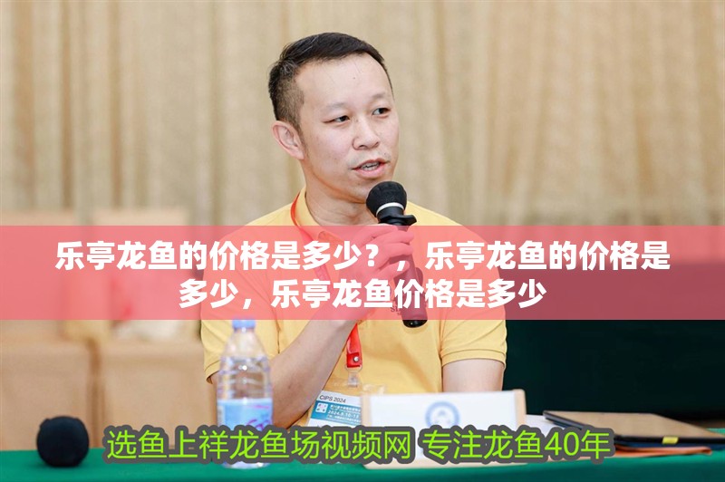 樂亭龍魚的價格是多少？，樂亭龍魚的價格是多少，樂亭龍魚價格是多少