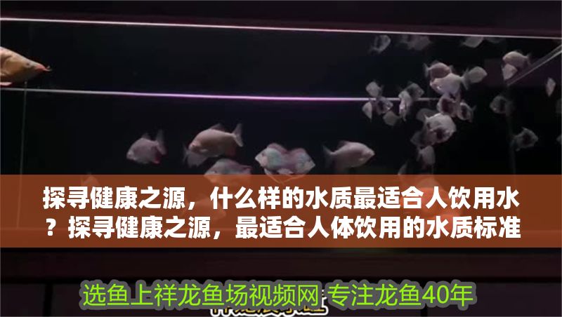 探尋健康之源，什么樣的水質(zhì)最適合人飲用水？探尋健康之源，最適合人體飲用的水質(zhì)標(biāo)準(zhǔn)解析